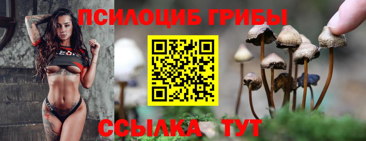 Псилоцибиновые грибы GOLDEN TEACHER Амурск
